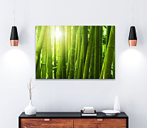 Obraz Bambusarium 1455